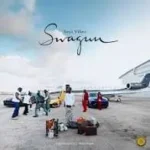 Seyi Vibez – Swaguu