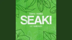 Tropic Thunda – Seaki mp3 download