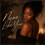 Riddim District – None Like You mp3 download
