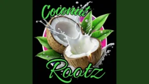 Coconut Rootz – My Everything mp3 download
