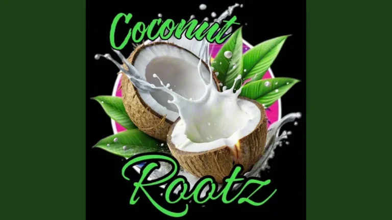 Coconut Rootz – My Everything mp3 download